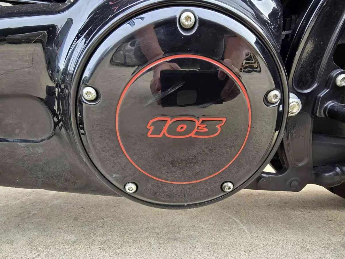 Harley-Davidson 1690 Slim (2011 - 16) - FLS (12)