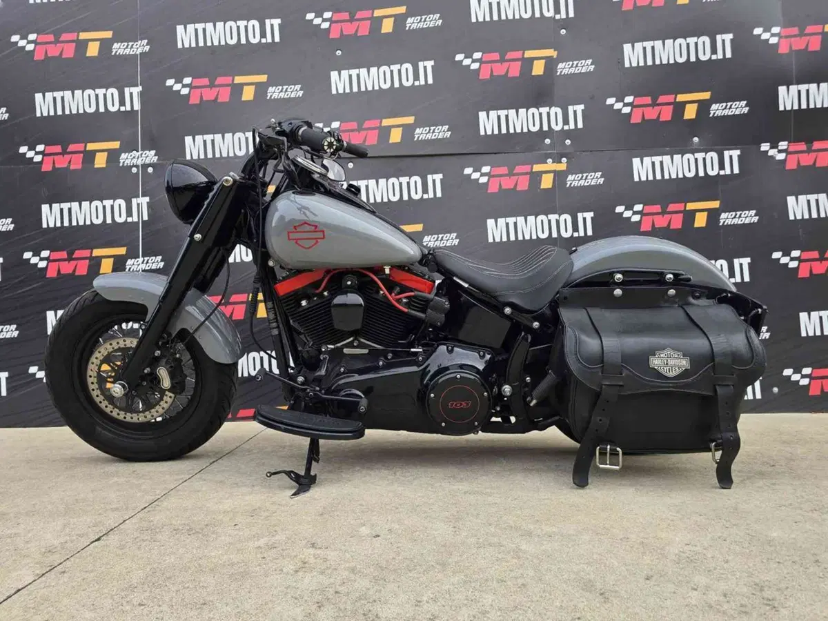 Harley-Davidson 1690 Slim (2011 - 16) - FLS (2)