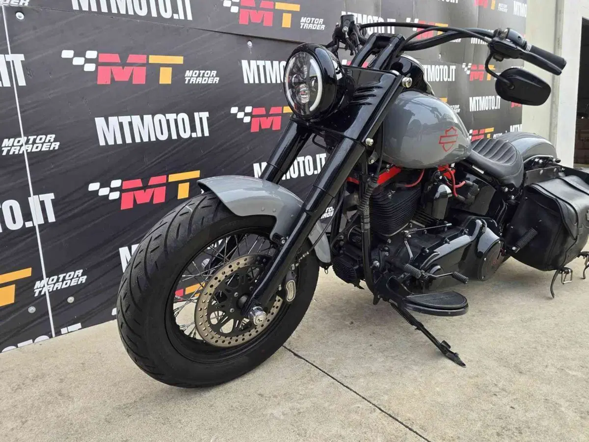 Harley-Davidson 1690 Slim (2011 - 16) - FLS (3)