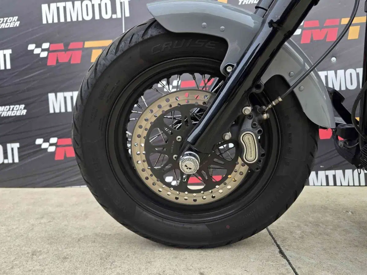 Harley-Davidson 1690 Slim (2011 - 16) - FLS (19)