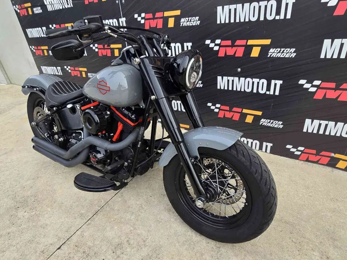 Harley-Davidson 1690 Slim (2011 - 16) - FLS (4)