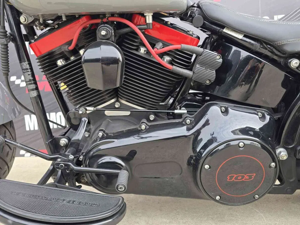 Harley-Davidson 1690 Slim (2011 - 16) - FLS (10)
