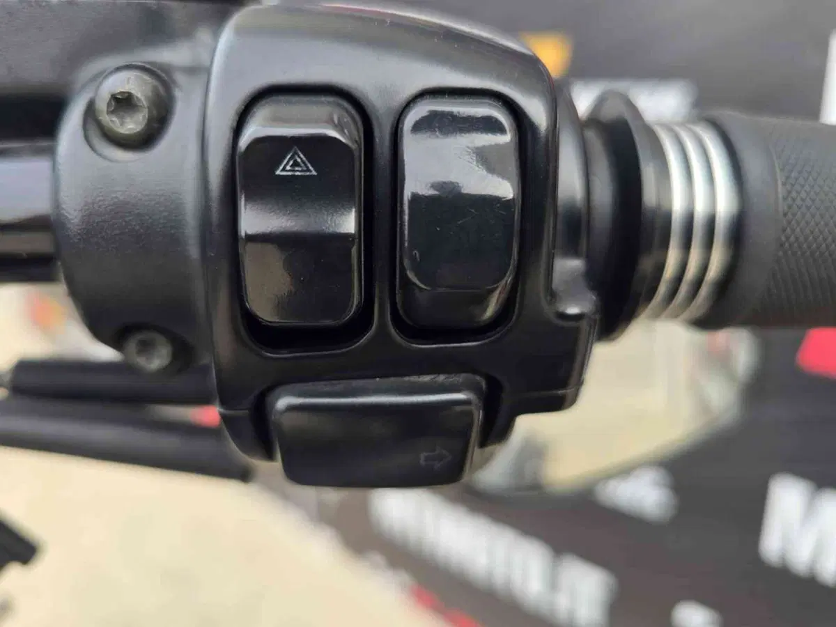 Harley-Davidson 1690 Slim (2011 - 16) - FLS (23)