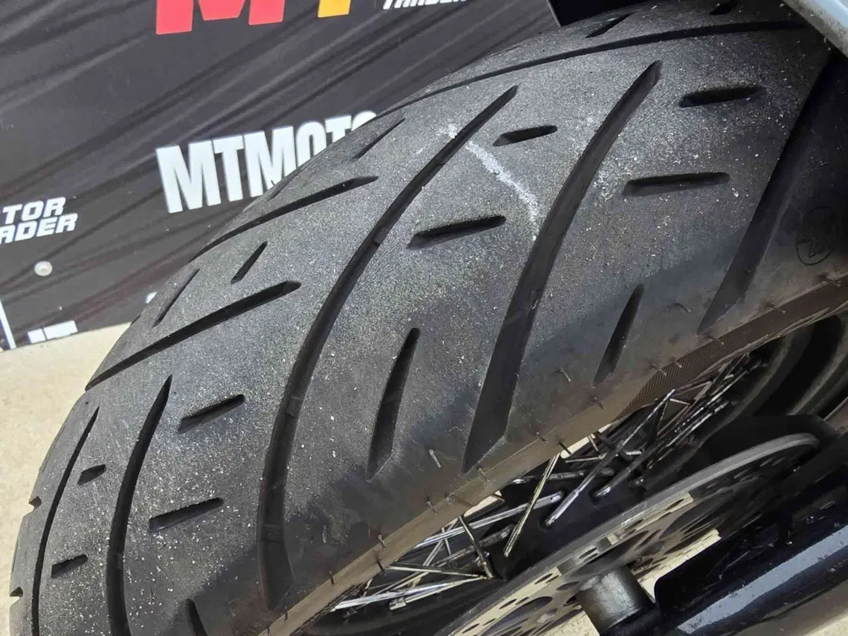 Harley-Davidson 1690 Slim (2011 - 16) - FLS (20)