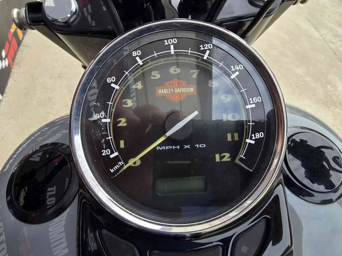 Harley-Davidson 1690 Slim (2011 - 16) - FLS (27)