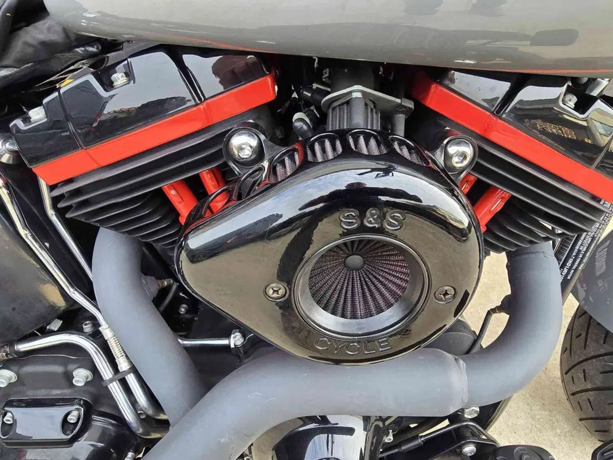 Harley-Davidson 1690 Slim (2011 - 16) - FLS (15)