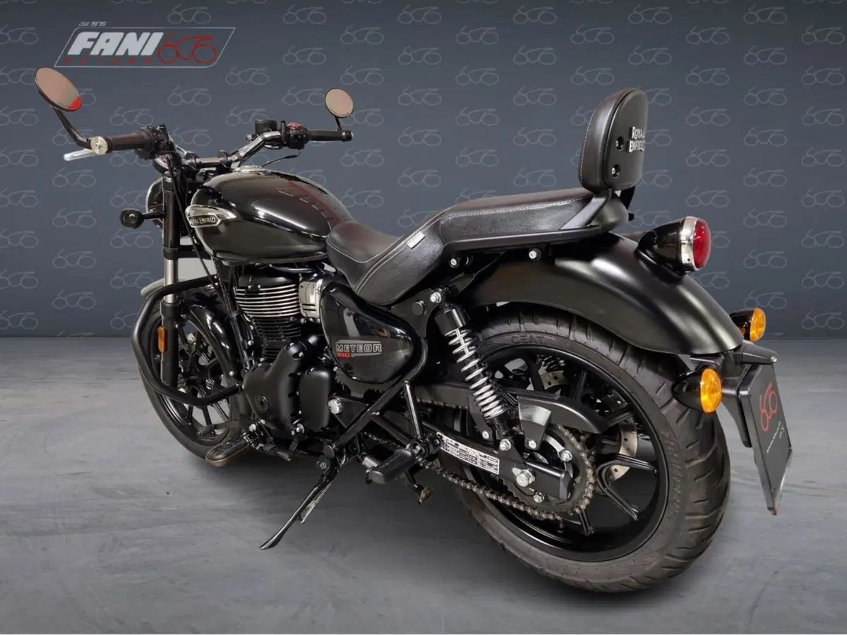 Royal Enfield Meteor 350 (2021 - 26) (6)