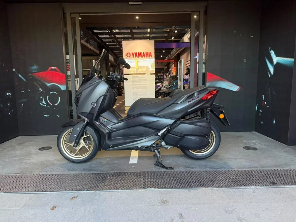 Yamaha X-Max 300 ABS (2017 - 20) (2)