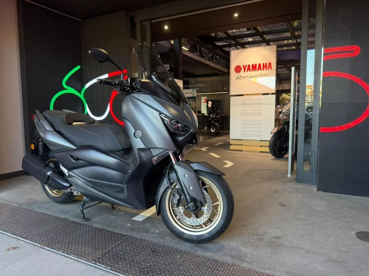 Yamaha X-Max 300 ABS (2017 - 20) (3)