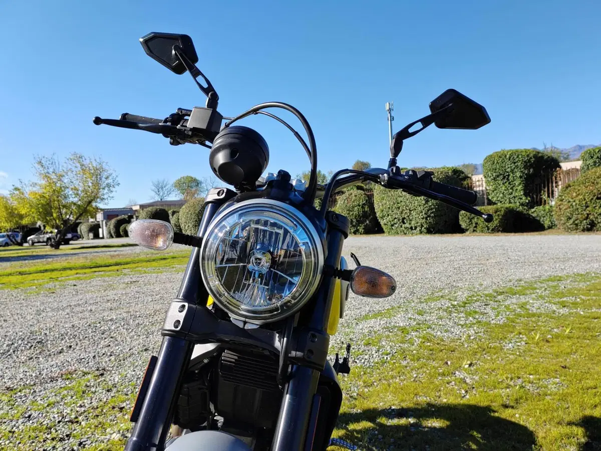 Ducati Scrambler 800 Icon (2017 - 20) (5)