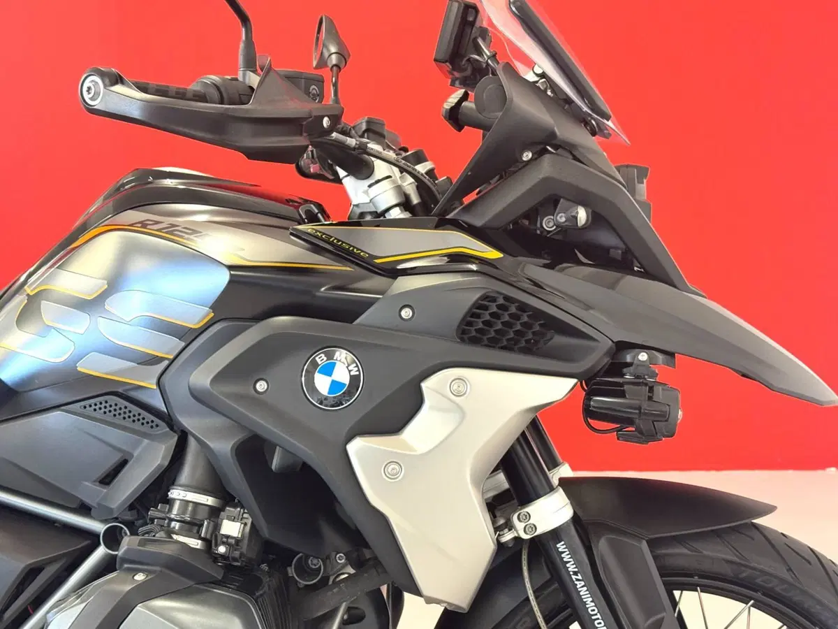 Bmw R 1250 GS (2019 - 20) (9)