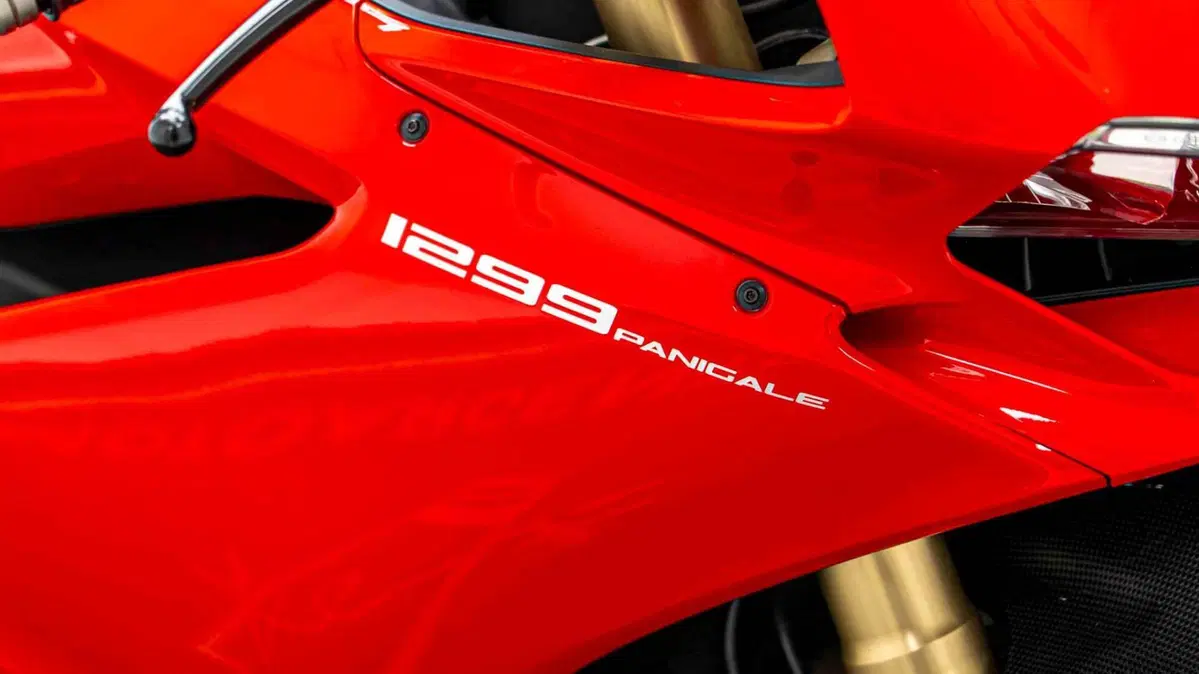 Ducati 1299 Panigale (2015 - 17) (2)