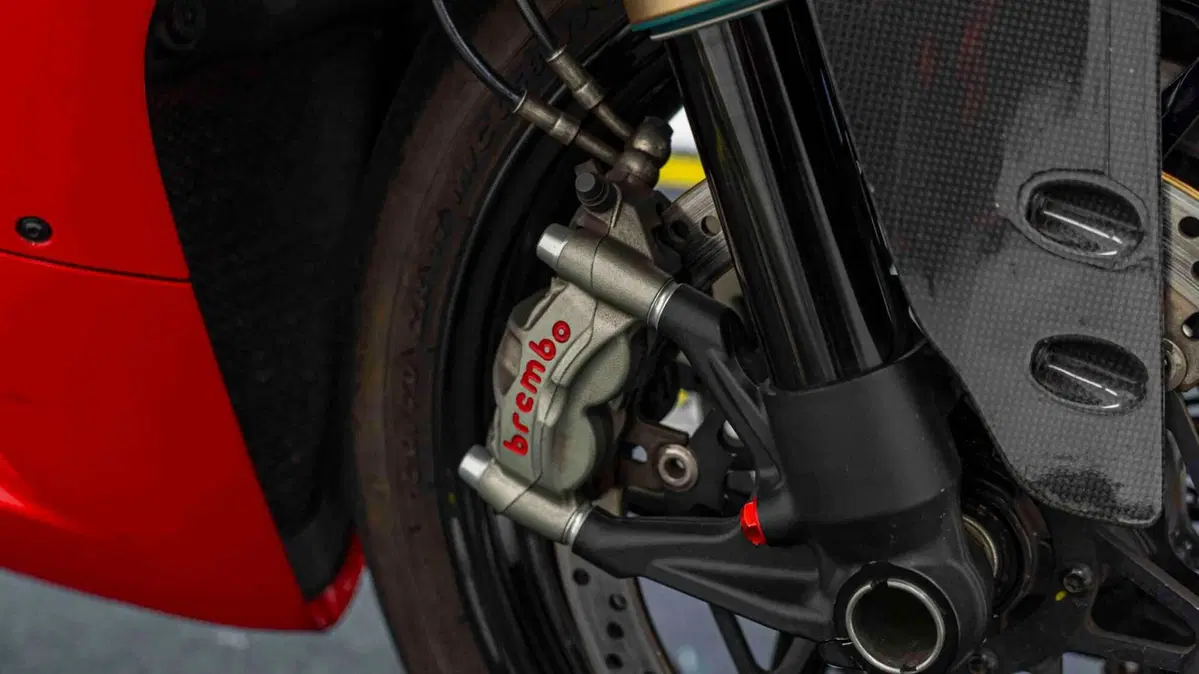 Ducati 1299 Panigale (2015 - 17) (3)