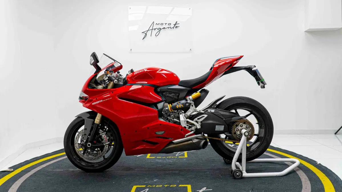 Ducati 1299 Panigale (2015 - 17) (16)