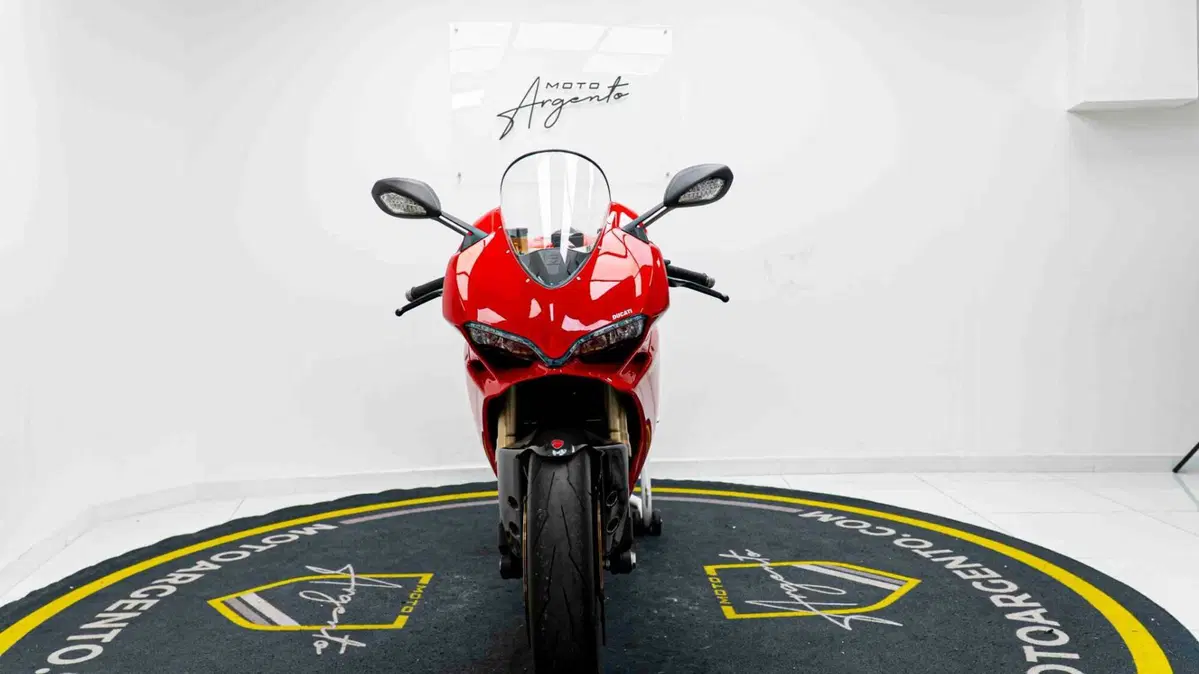 Ducati 1299 Panigale (2015 - 17) (18)
