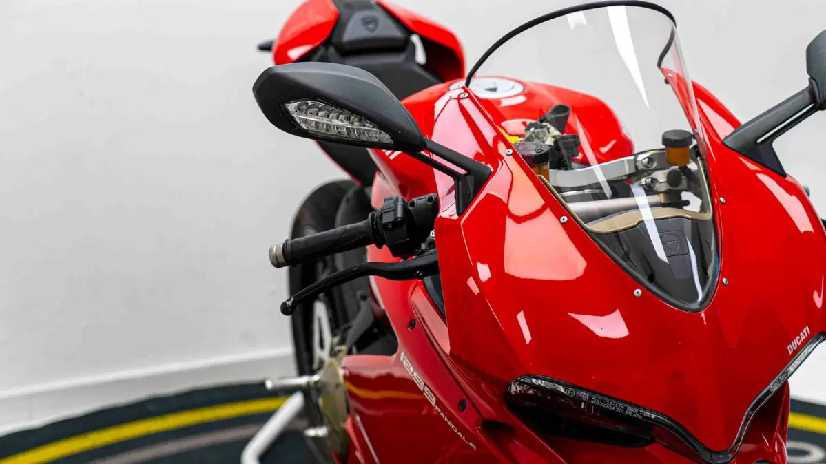 Ducati 1299 Panigale (2015 - 17) (19)