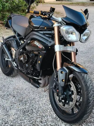 Triumph Speed Triple 1050 (2011 - 13) usata