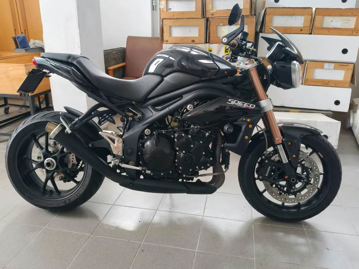 Triumph Speed Triple 1050 (2011 - 13) (2)