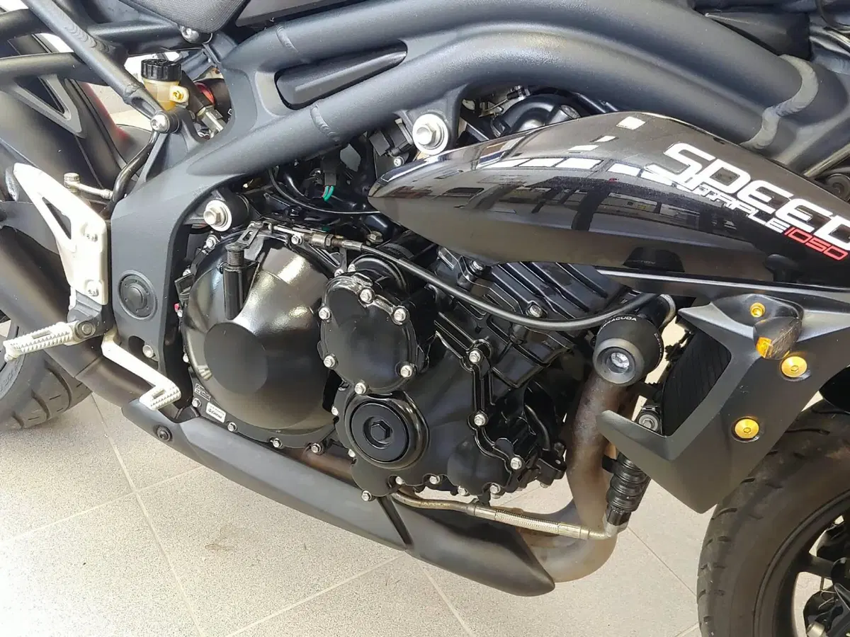 Triumph Speed Triple 1050 (2011 - 13) (9)