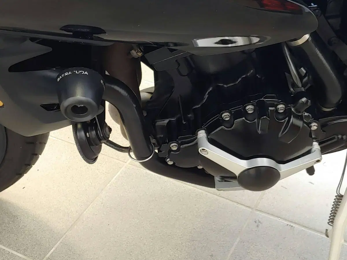 Triumph Speed Triple 1050 (2011 - 13) (10)
