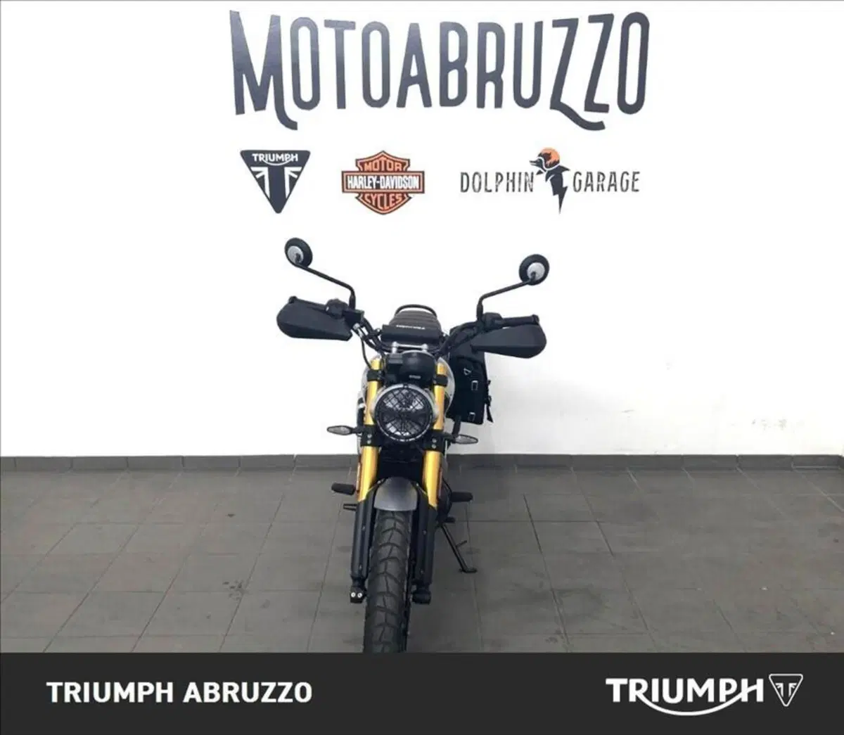 Triumph Scrambler 400 X (2024 - 26) (9)