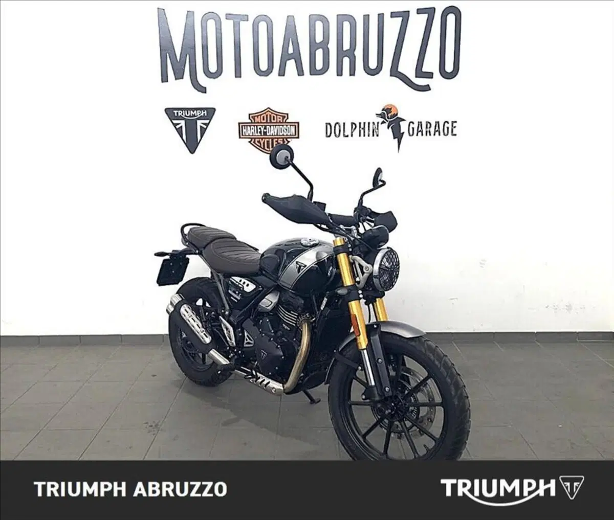 Triumph Scrambler 400 X (2024 - 26) (11)