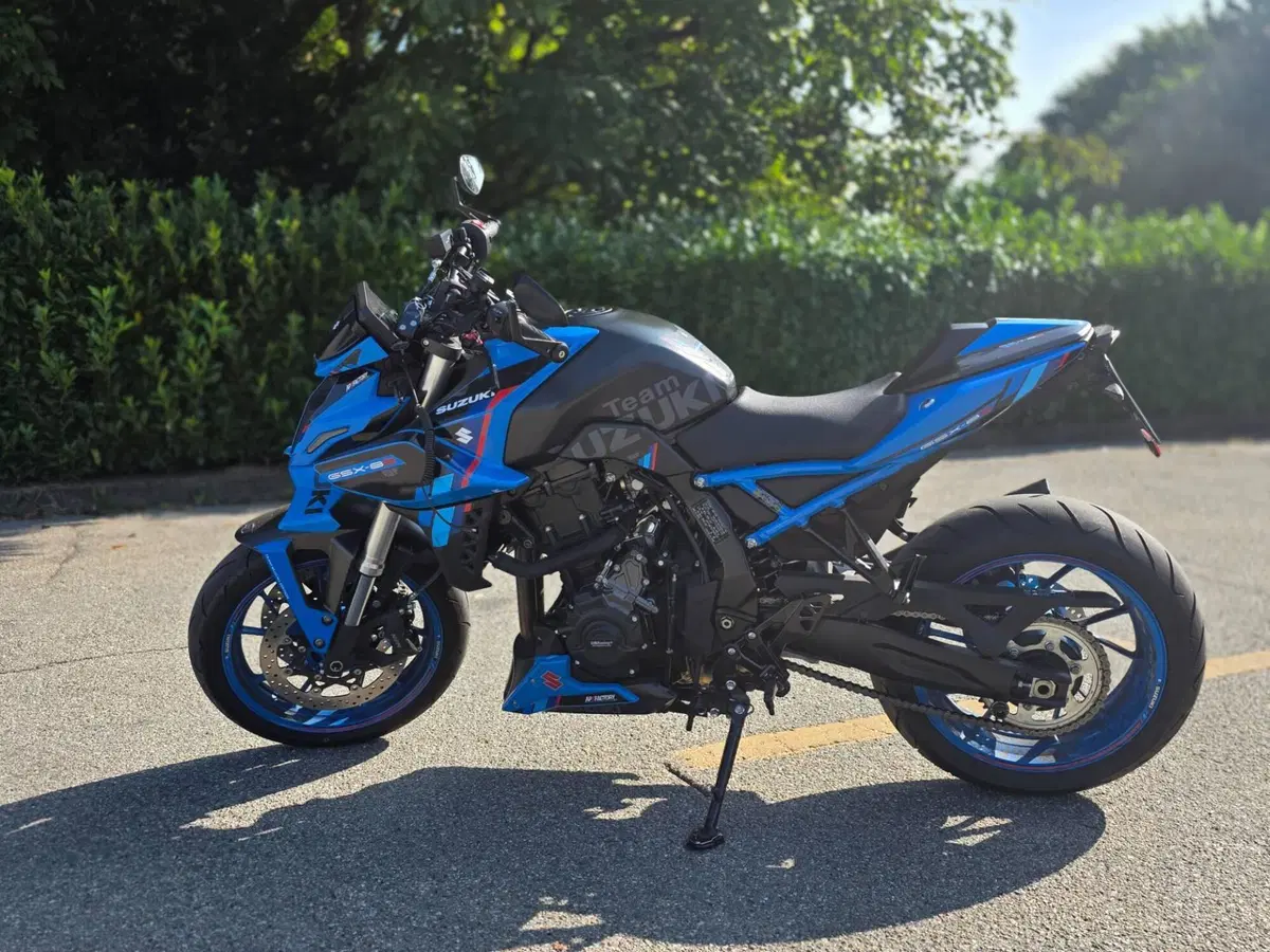 Suzuki GSX-8S Team Suzuki Edition (2024) (2)