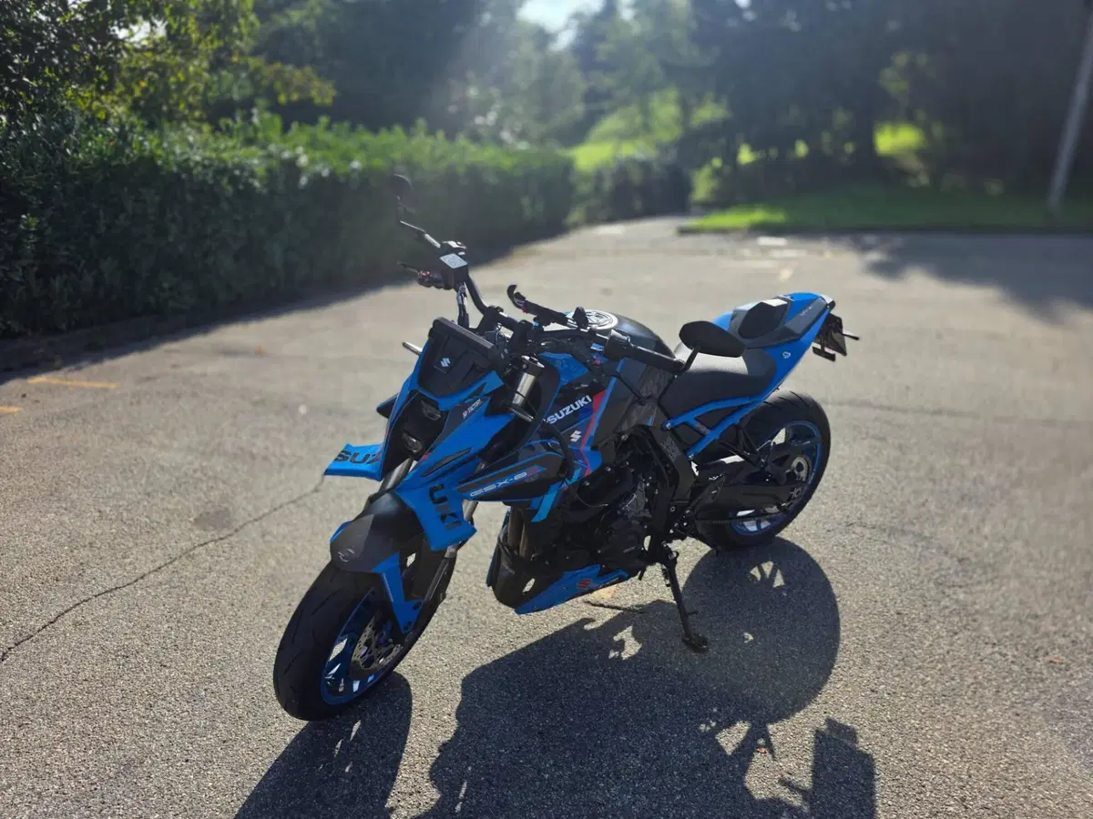 Suzuki GSX-8S Team Suzuki Edition (2024) (8)