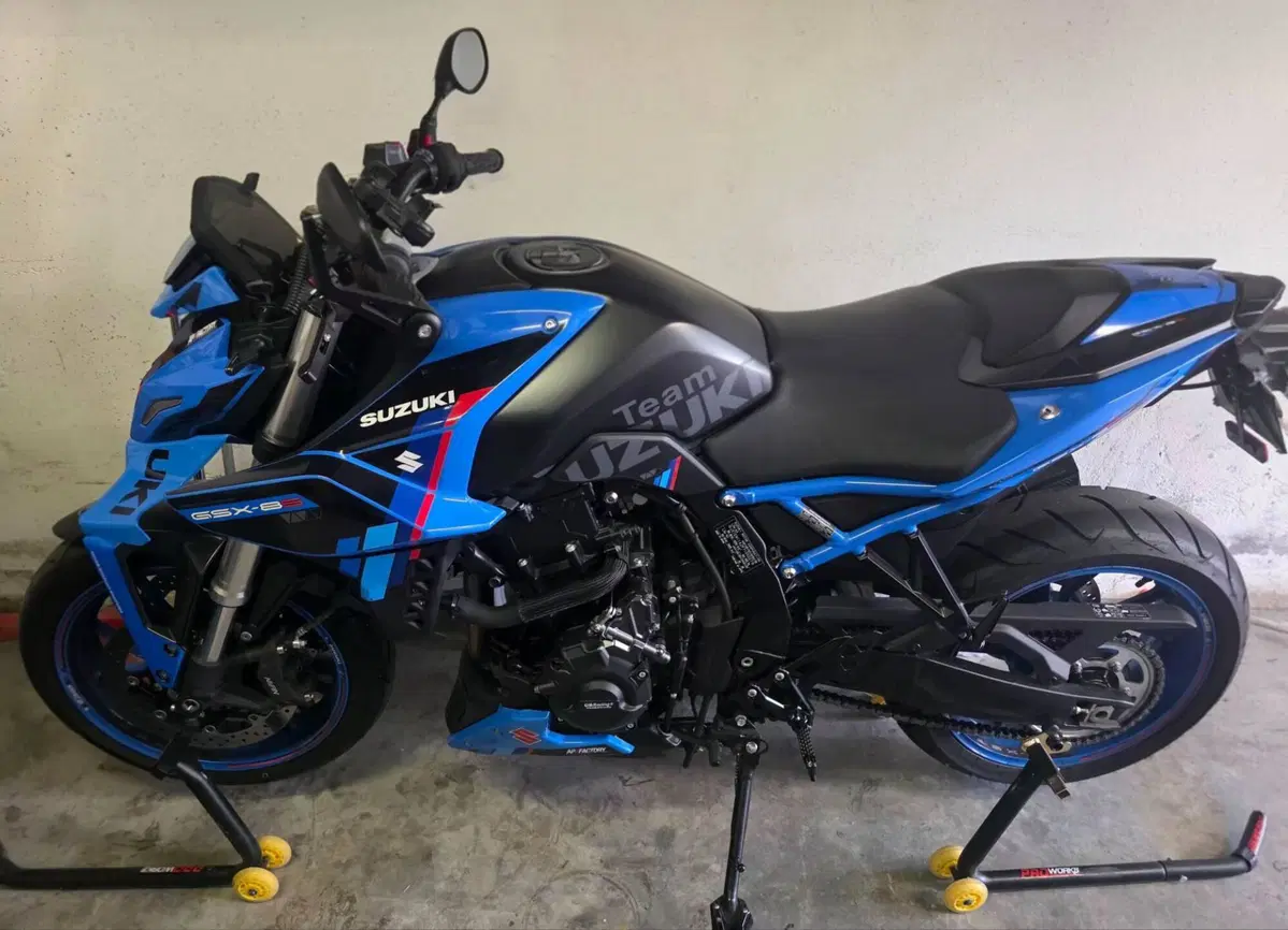 Suzuki GSX-8S Team Suzuki Edition (2024)