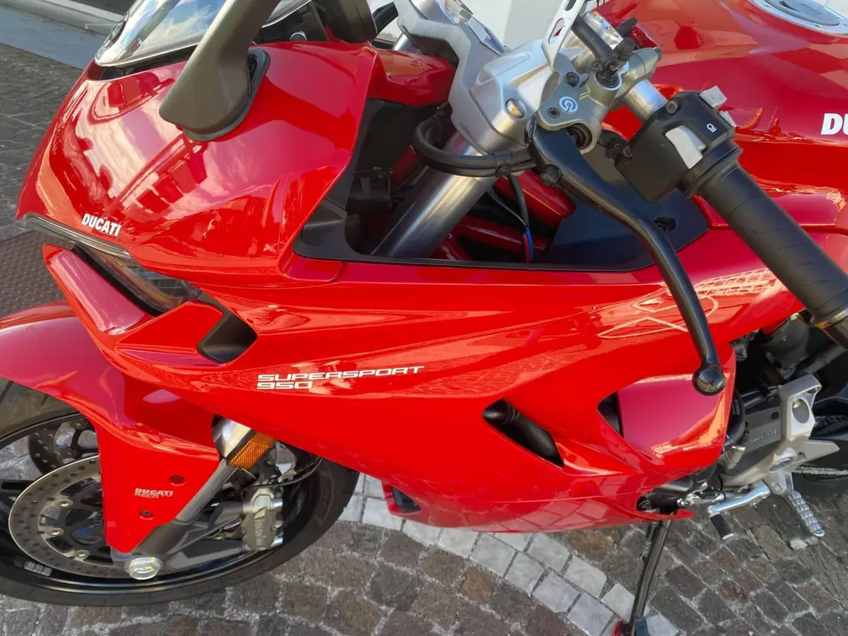 Ducati SuperSport 950 (2021 - 24) (5)