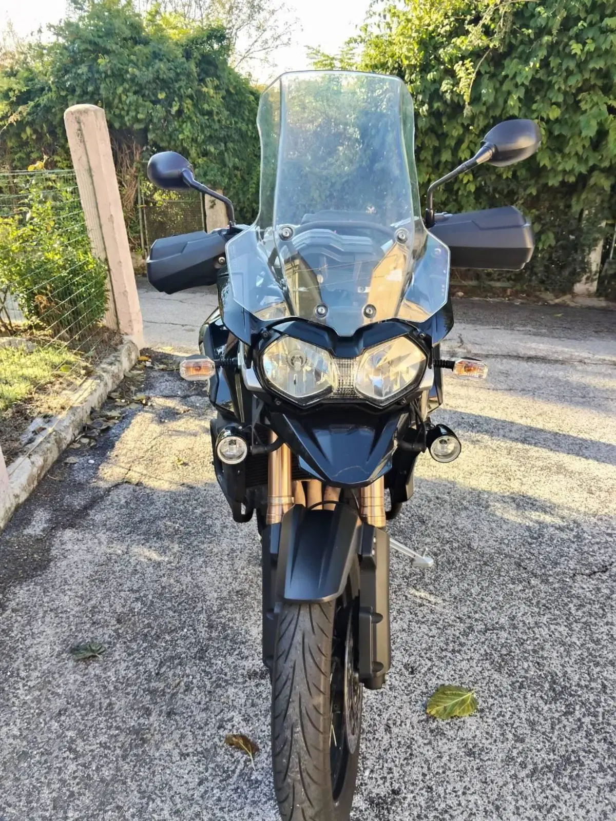 Triumph Tiger Explorer 1215 ABS (2011 - 14) (3)