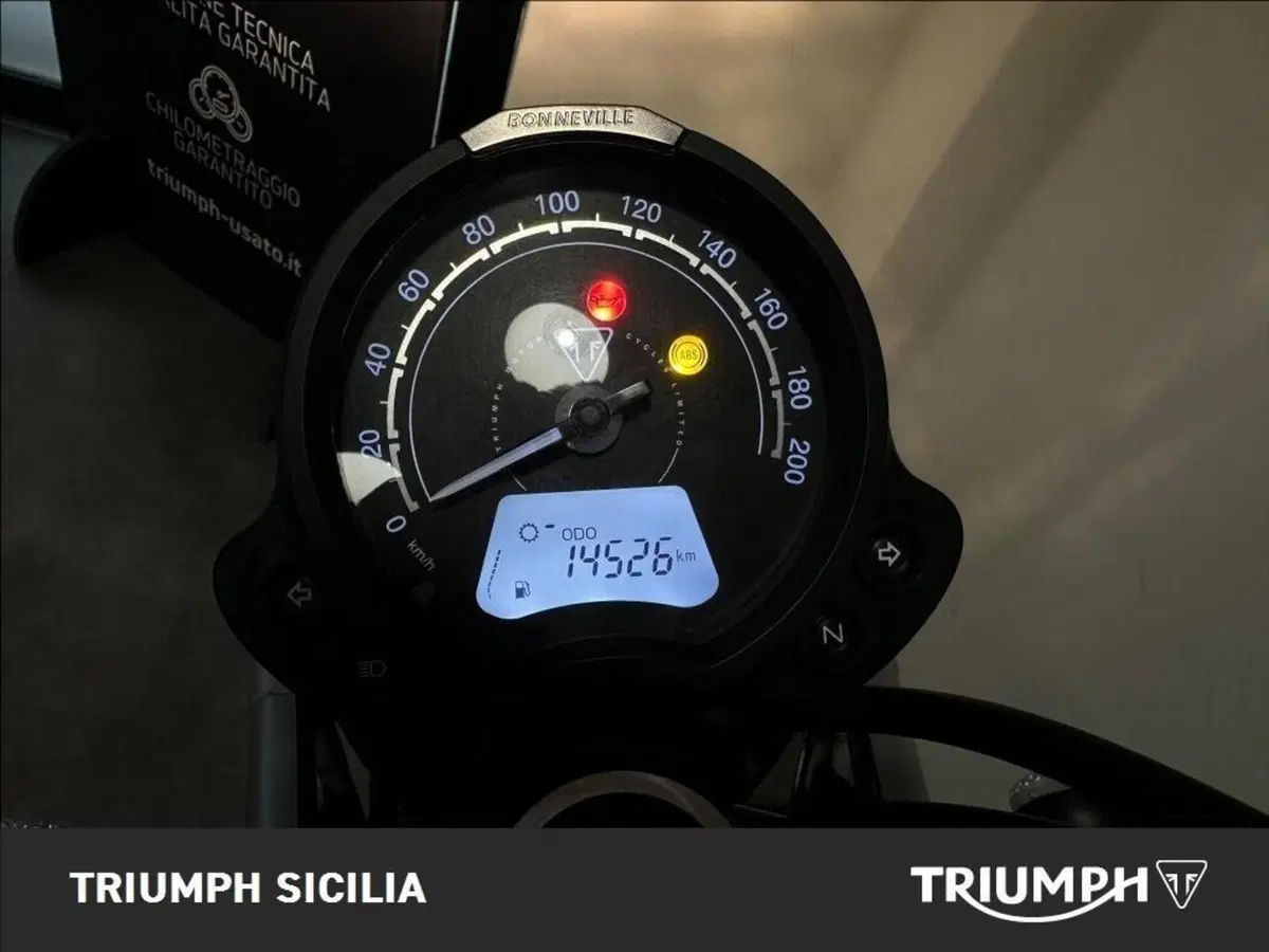 Triumph Scrambler 900 (2023 - 25) (15)