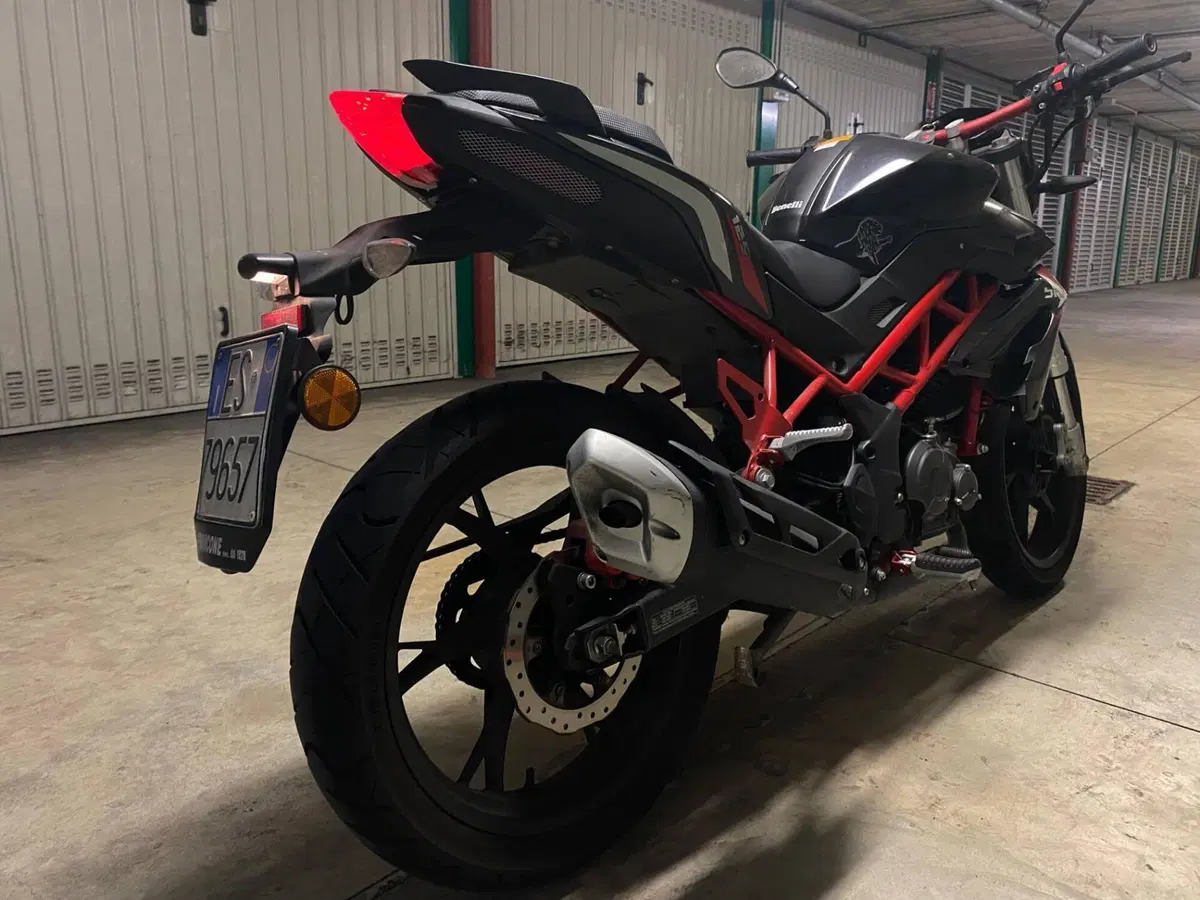 Benelli BN 125 (2018 - 20) (2)