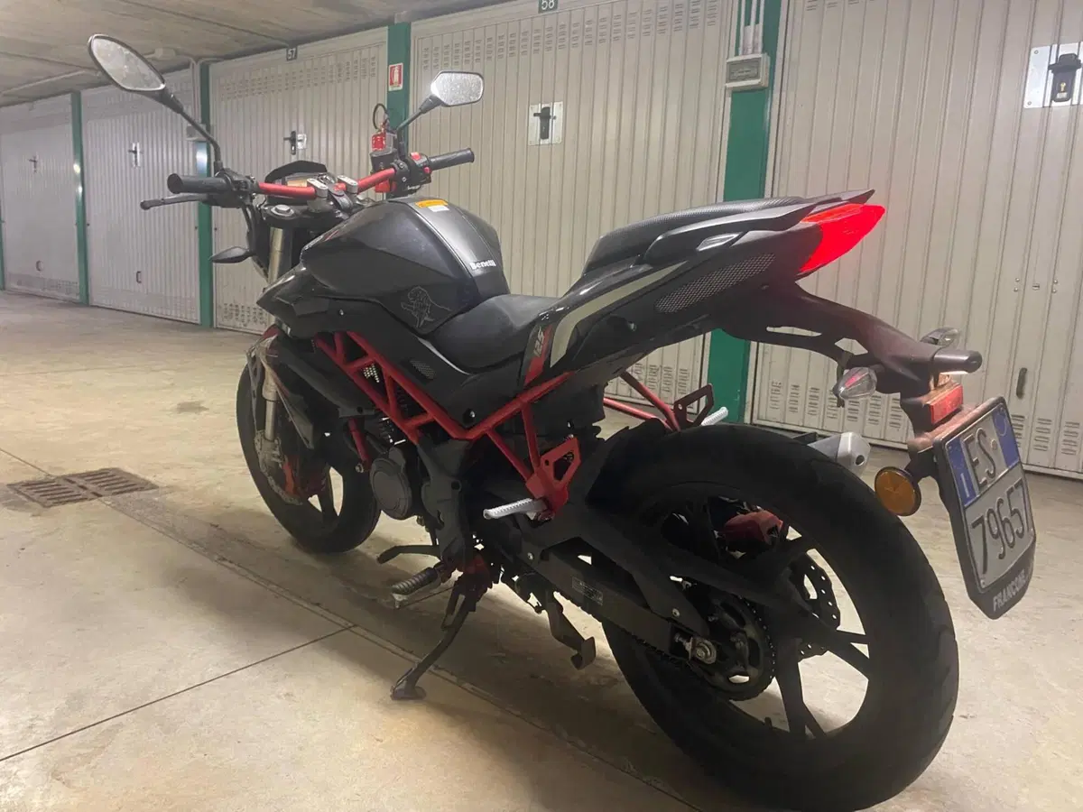 Benelli BN 125 (2018 - 20) (3)
