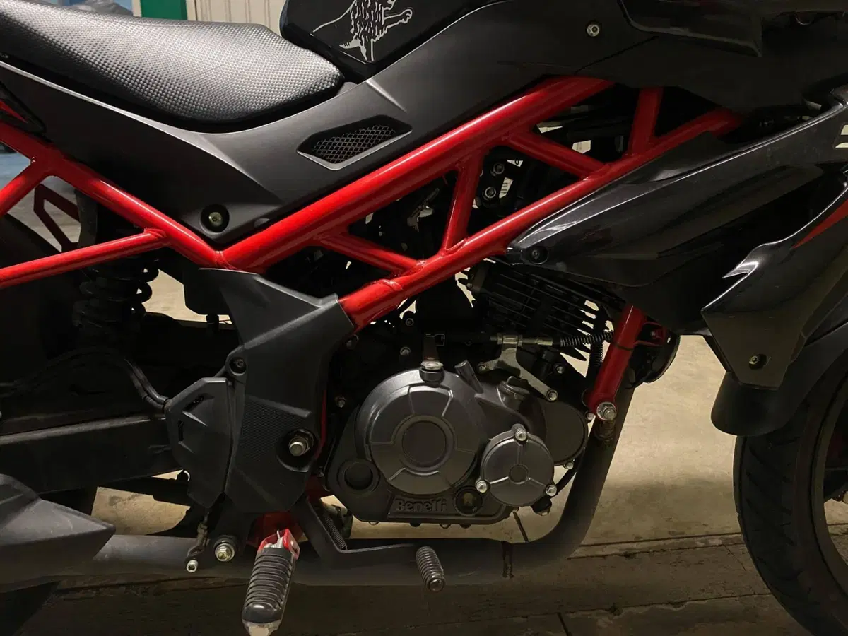 Benelli BN 125 (2018 - 20) (6)