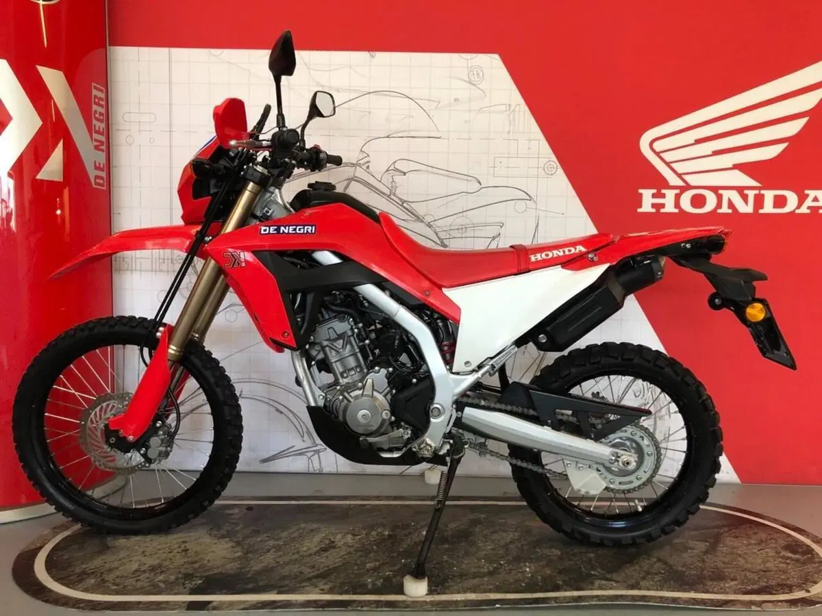 Honda CRF 300L (2021 - 24)