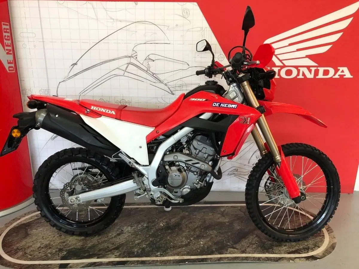 Honda CRF 300L (2021 - 24) (2)