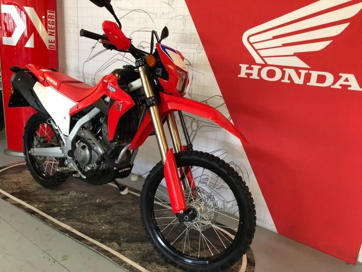 Honda CRF 300L (2021 - 24) (6)