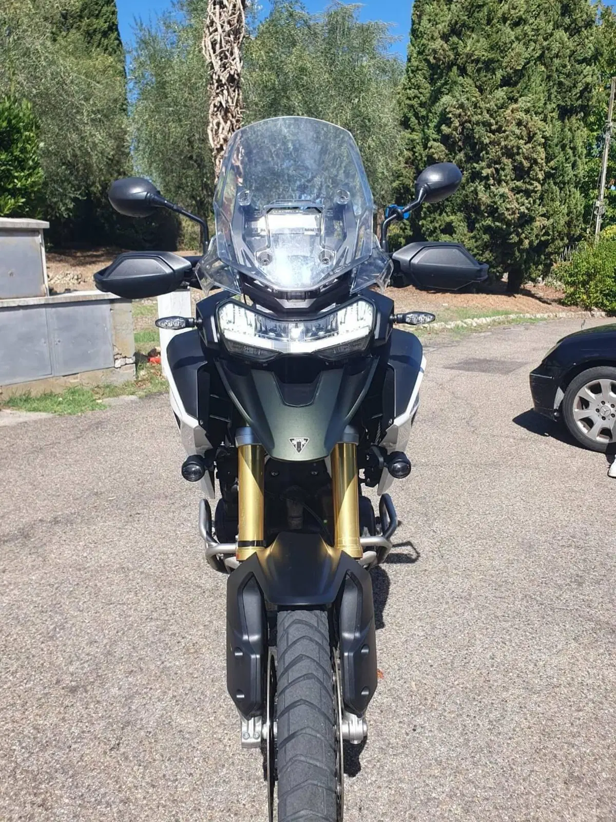 Triumph Tiger 1200 Rally Pro (2022 - 23) (3)