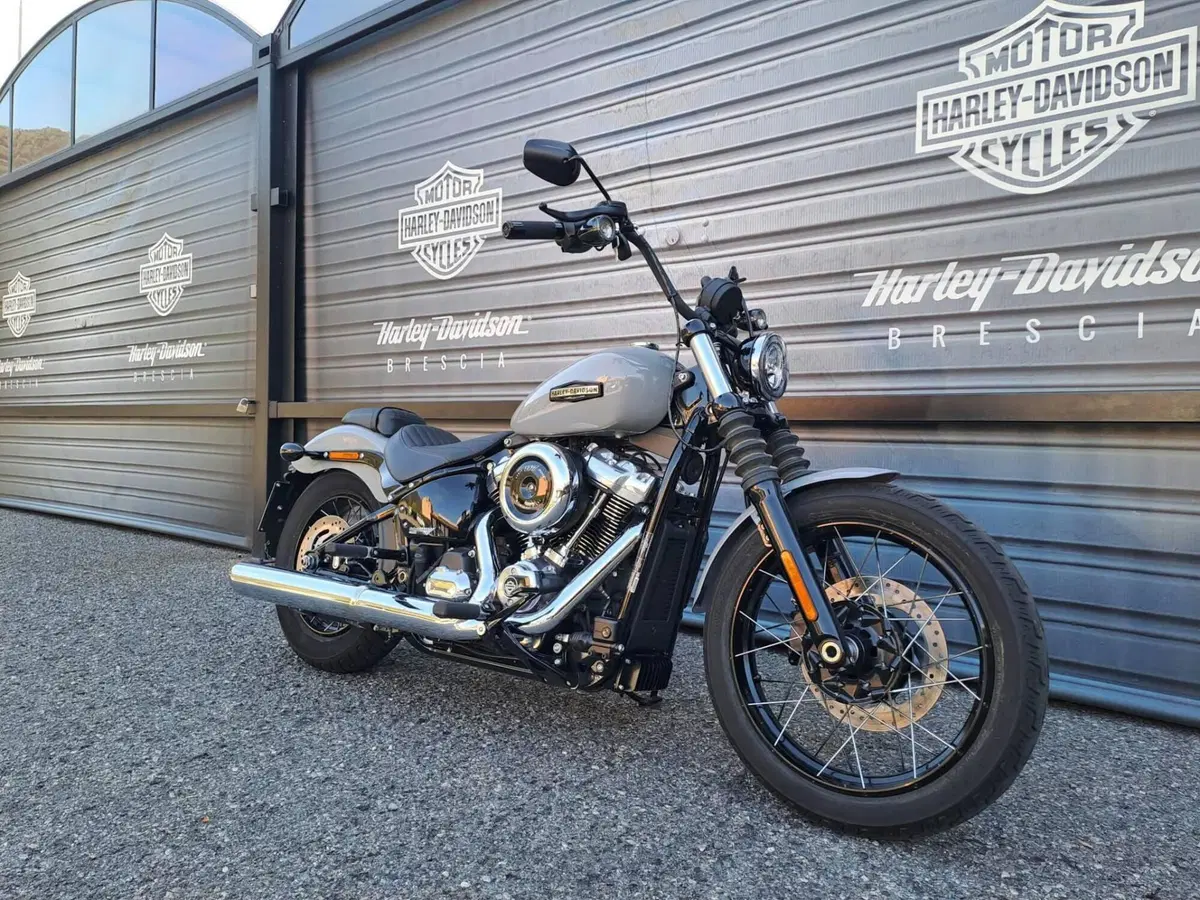 Harley-Davidson Street Bob 117 (2025 - 26) (2)