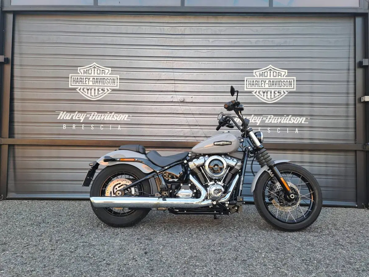 Harley-Davidson Street Bob 117 (2025 - 26)
