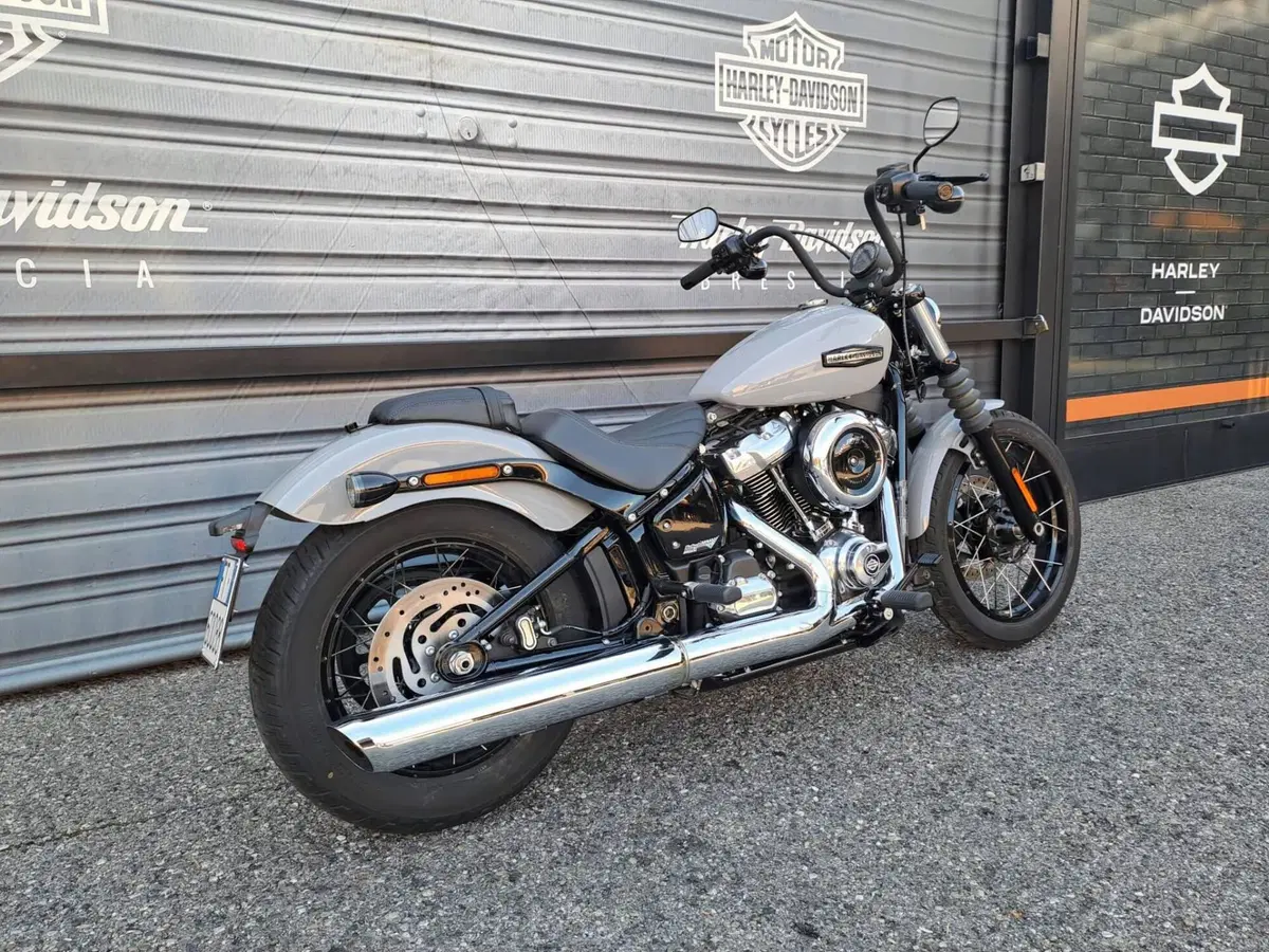 Harley-Davidson Street Bob 117 (2025 - 26) (3)