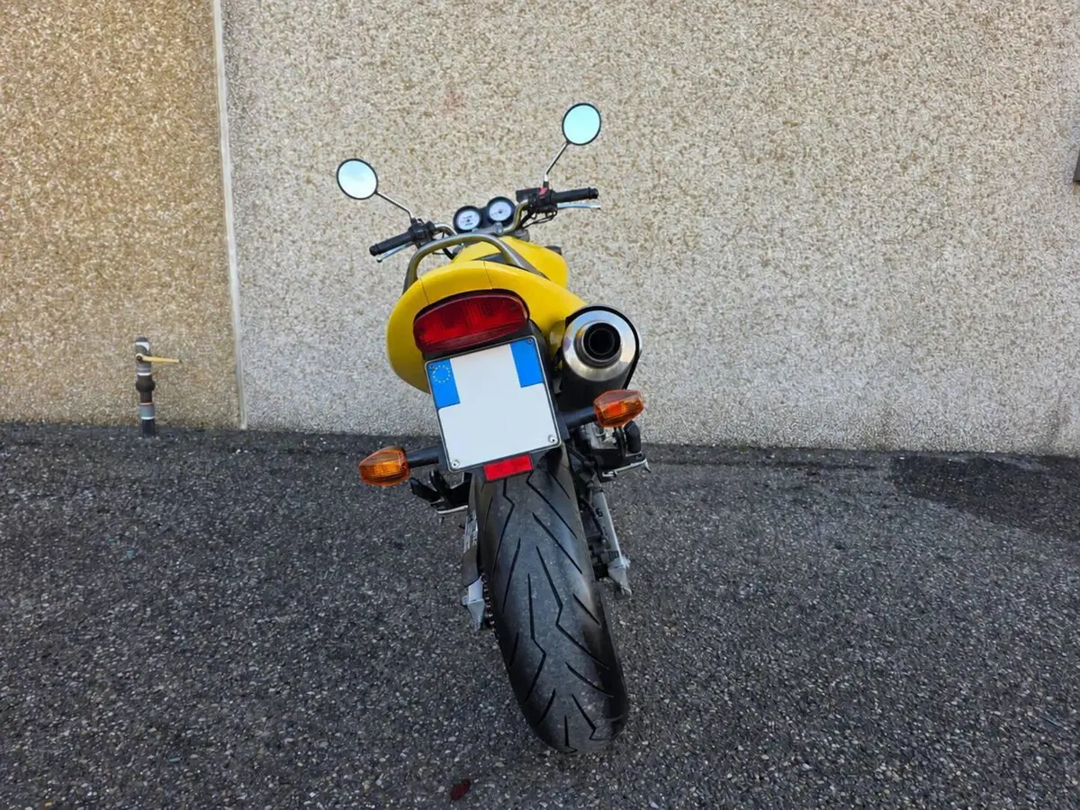 Honda Hornet (5)