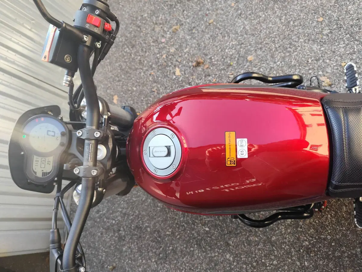Benelli Leoncino 500 (2021 - 25) (5)