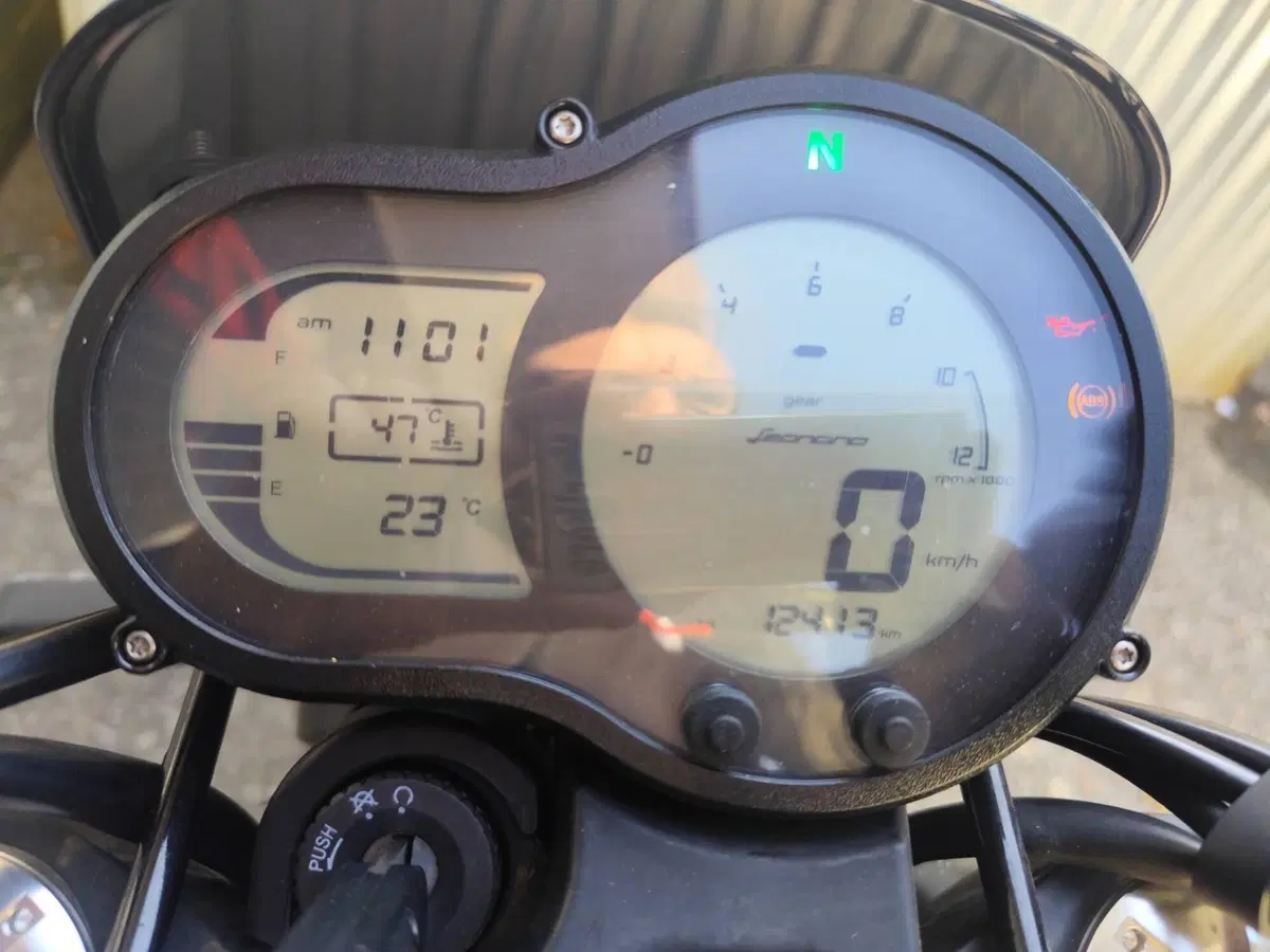Benelli Leoncino 500 (2021 - 25) (6)