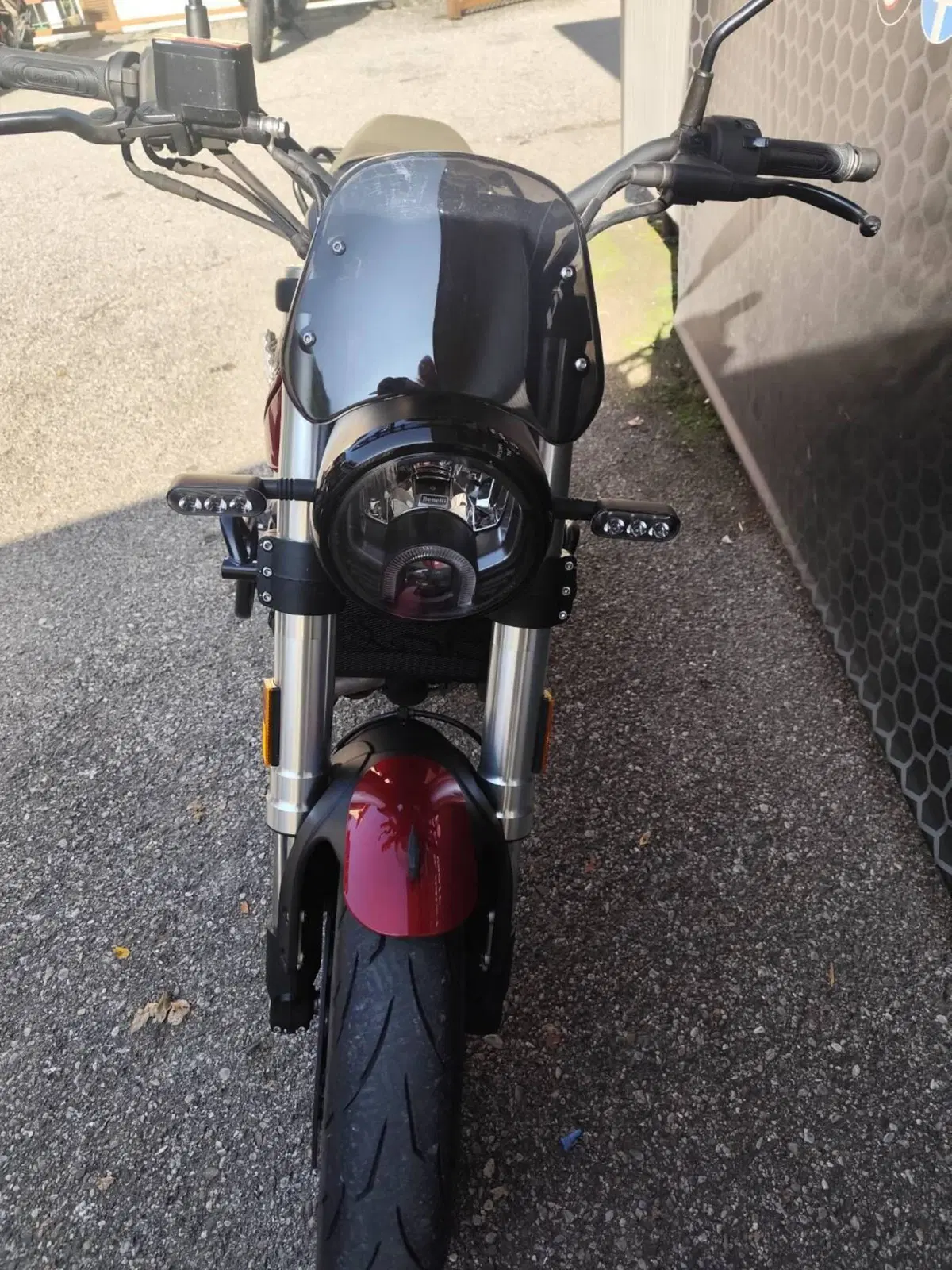 Benelli Leoncino 500 (2021 - 25) (4)