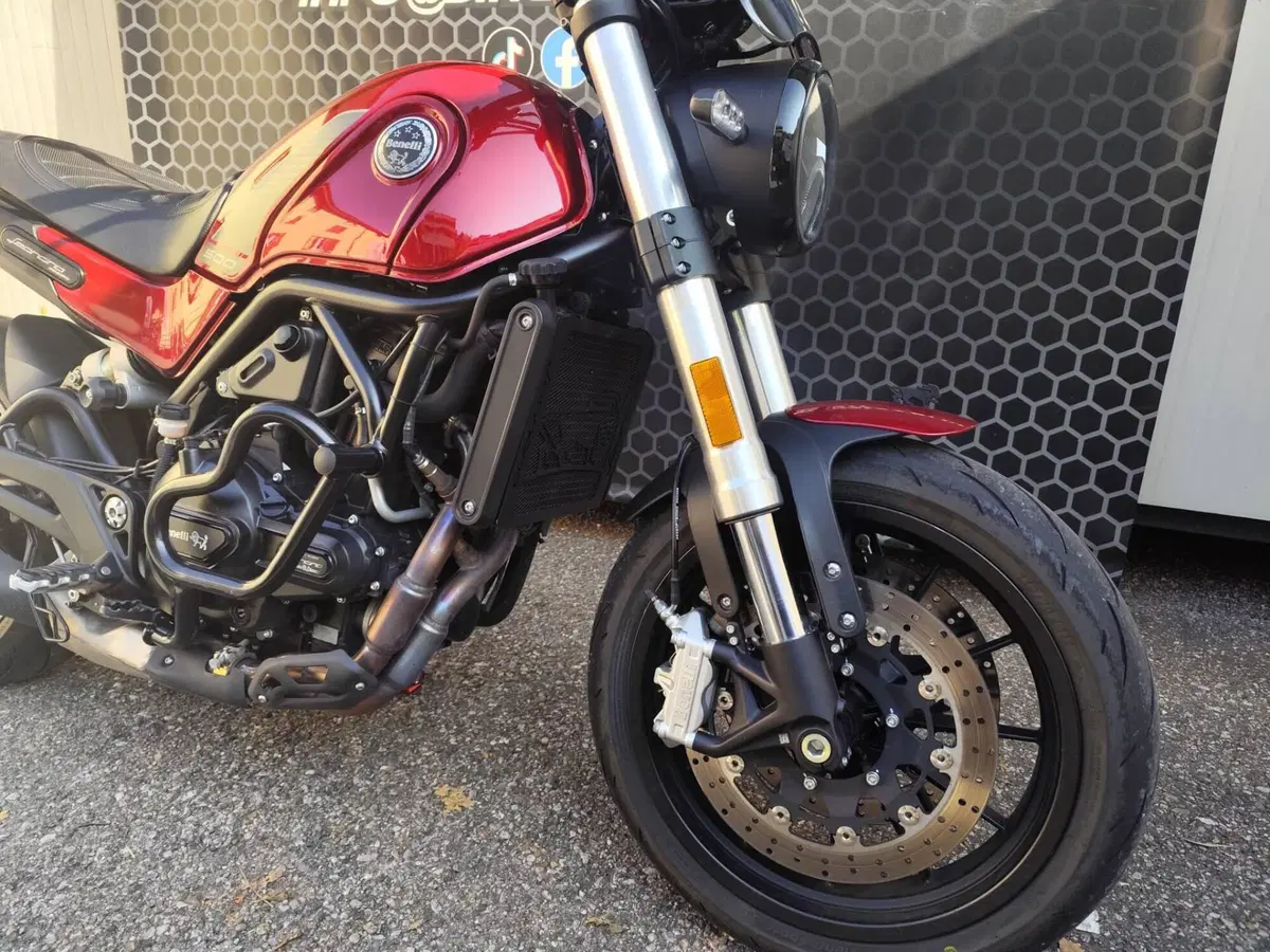 Benelli Leoncino 500 (2021 - 25) (9)