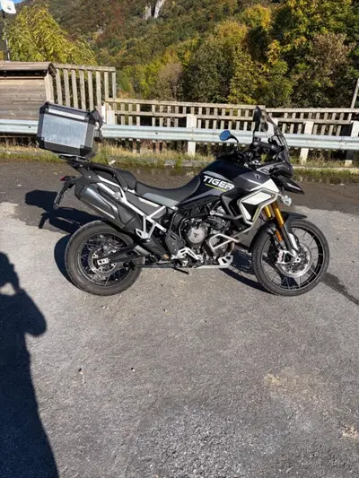 Triumph Tiger 900 Rally Aragón Edition (2023 - 24) usata