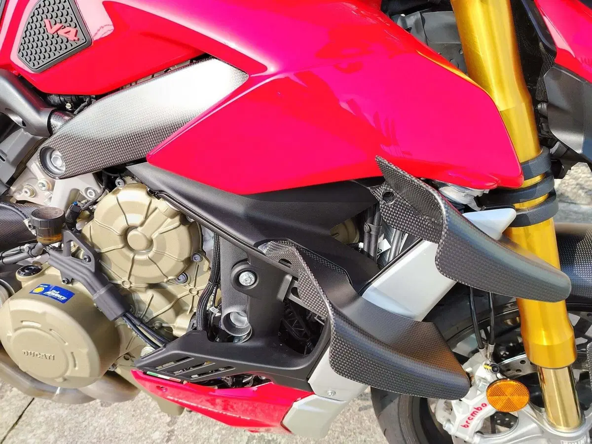 Ducati Streetfighter V4 1100 S (2021 - 22) (10)
