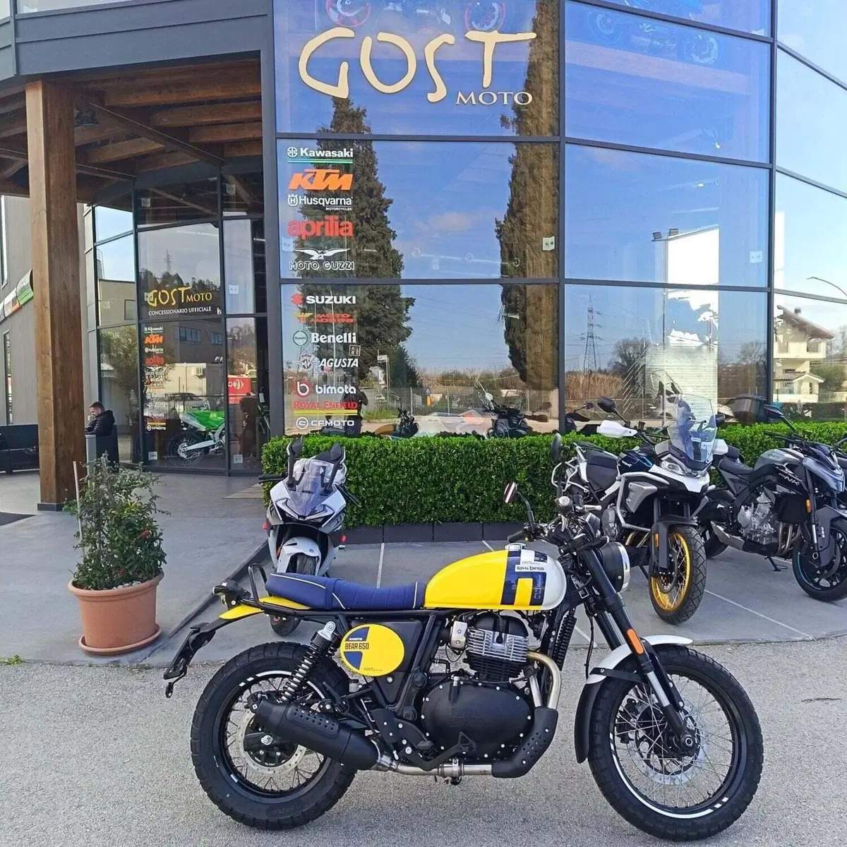 Royal Enfield Bear 650 (2025 - 26)